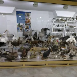 Eco Museum of Ruse - Ruse