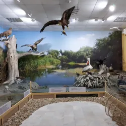 Eco Museum of Ruse - Ruse