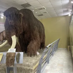 Eco Museum of Ruse - Ruse