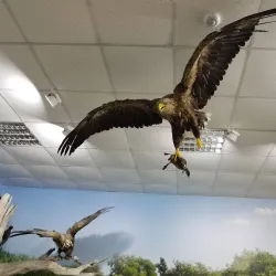 Eco Museum of Ruse - Ruse