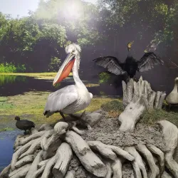 Eco Museum of Ruse - Ruse