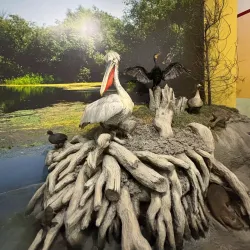 Eco Museum of Ruse - Ruse