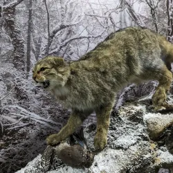 Eco Museum of Ruse - Ruse