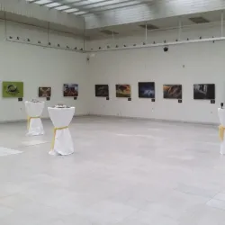 Ruse Regional Art Gallery - Ruse