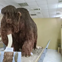 Ruse Regional Historical Museum - Ruse