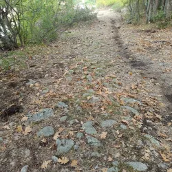 Ancient Roman Road Remains - Sevlievo