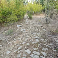 Ancient Roman Road Remains - Sevlievo