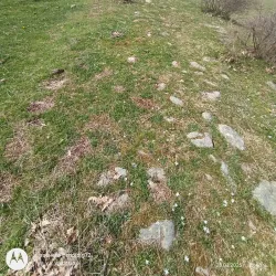 Ancient Roman Road Remains - Sevlievo