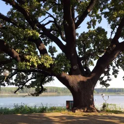 Danube River Embankment - Silistra