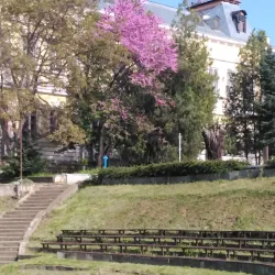 Silistra Art Gallery - Silistra