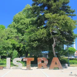 Silistra City Park - Silistra