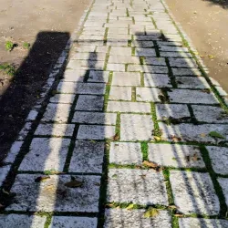 Silistra Roman Tomb - Silistra