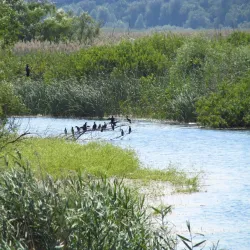 Srebarna Nature Reserve (near Silistra) - Silistra