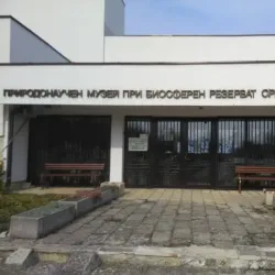 Srebarna Nature Reserve (near Silistra) - Silistra