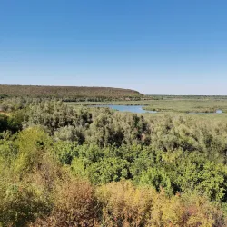 Srebarna Nature Reserve (near Silistra) - Silistra