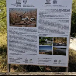 Srebarna Nature Reserve (near Silistra) - Silistra