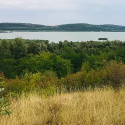 Srebarna Nature Reserve (near Silistra) - Silistra