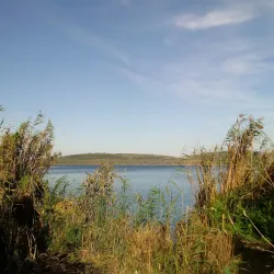 Srebarna Nature Reserve (near Silistra) - Silistra