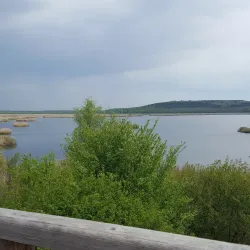Srebarna Nature Reserve (near Silistra) - Silistra