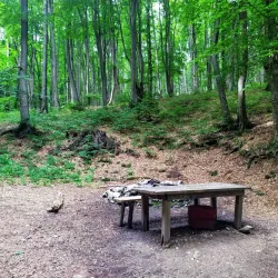 Blue Rocks Nature Park (Sinite Kamani) - Sliven