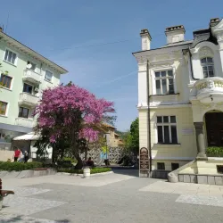 Dimitar Dobrovich Art Gallery - Sliven