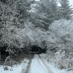 Koprivshtitsa Street - Sliven