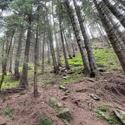 Smolyan Lakes - Smolyan