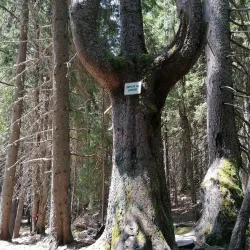 Smolyan Lakes - Smolyan