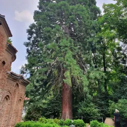 Boyana Church - Sofia