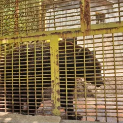 Ayazmoto Park - Stara Zagora