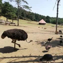 Ayazmoto Park - Stara Zagora