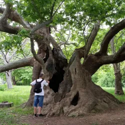 Bedechka Park - Stara Zagora