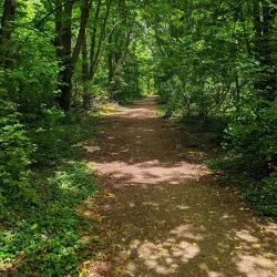 Bedechka Park - Stara Zagora