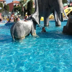 Action Aquapark - Sunny Beach