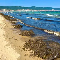 Dune Beach - Sunny Beach