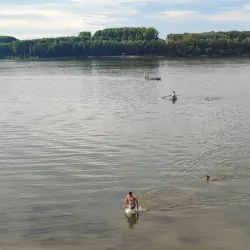 Fishing Festival (Seasonal) - Tutrakan