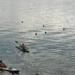 Fishing Festival (Seasonal) - Tutrakan