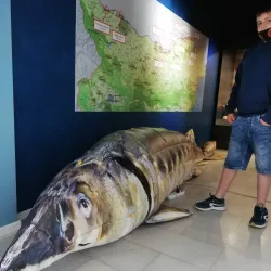 Tutrakan Museum of Fishing and Fishery - Tutrakan