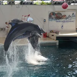 Varna Dolphinarium - Varna