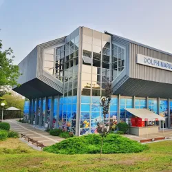 Varna Dolphinarium - Varna