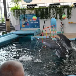 Varna Dolphinarium - Varna