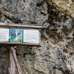 Goritsa Waterfall - Varzulitsa
