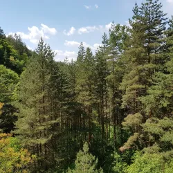 Goritsa Waterfall - Varzulitsa