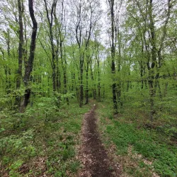 Shumen Plateau - Varzulitsa