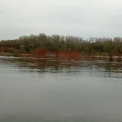 Vardim Island - Varzulitsa