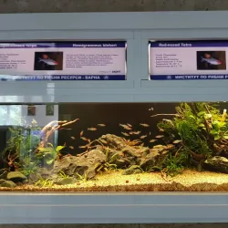 Varna Aquarium - Varzulitsa
