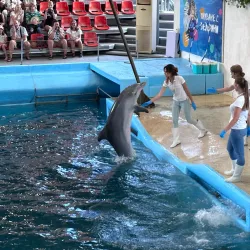 Varna Dolphinarium - Varzulitsa