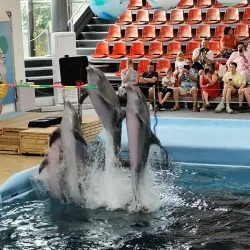 Varna Dolphinarium - Varzulitsa
