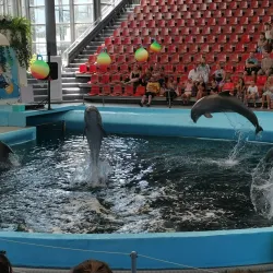 Varna Dolphinarium - Varzulitsa