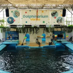 Varna Dolphinarium - Varzulitsa